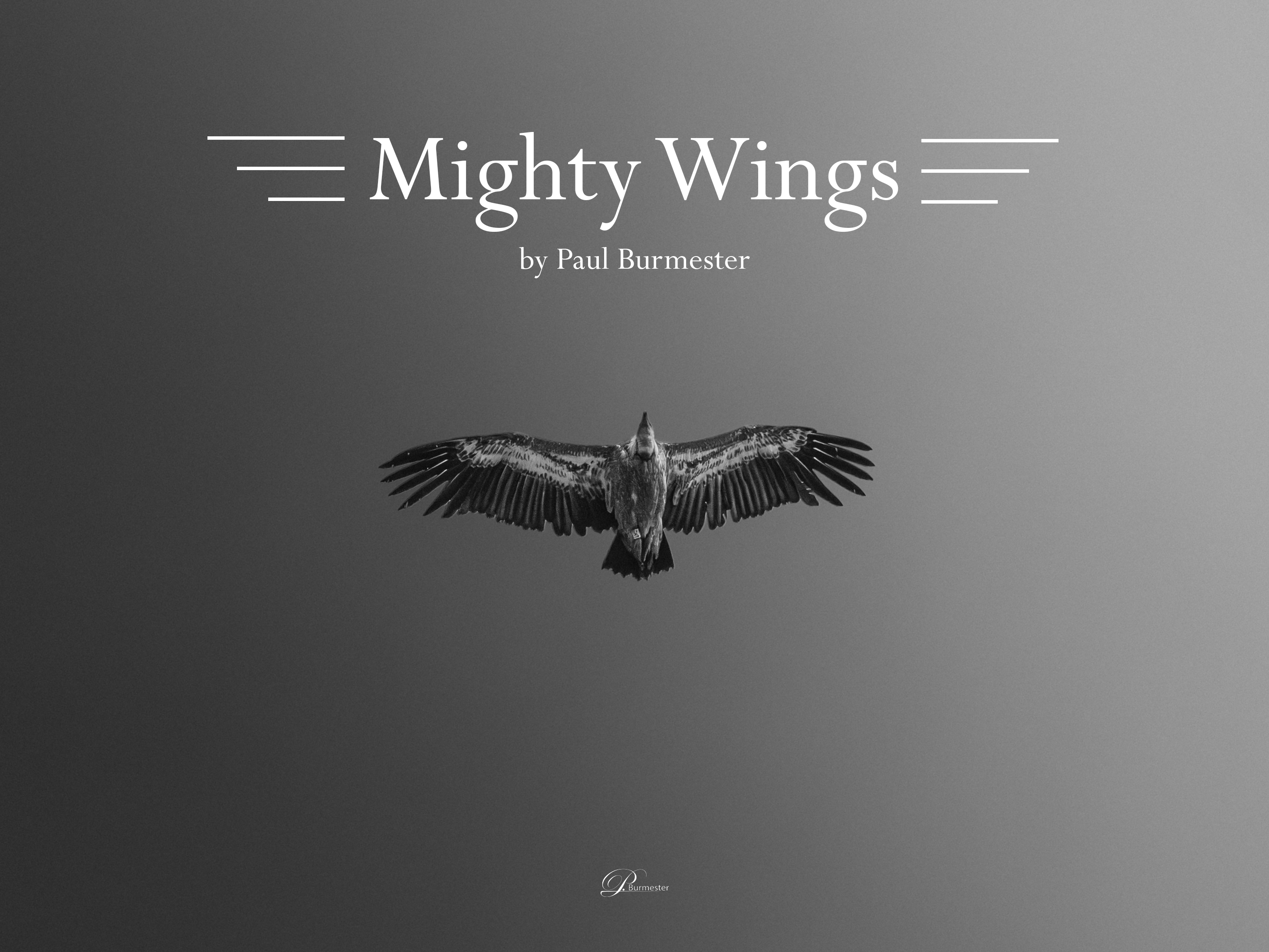 Mighty Wings