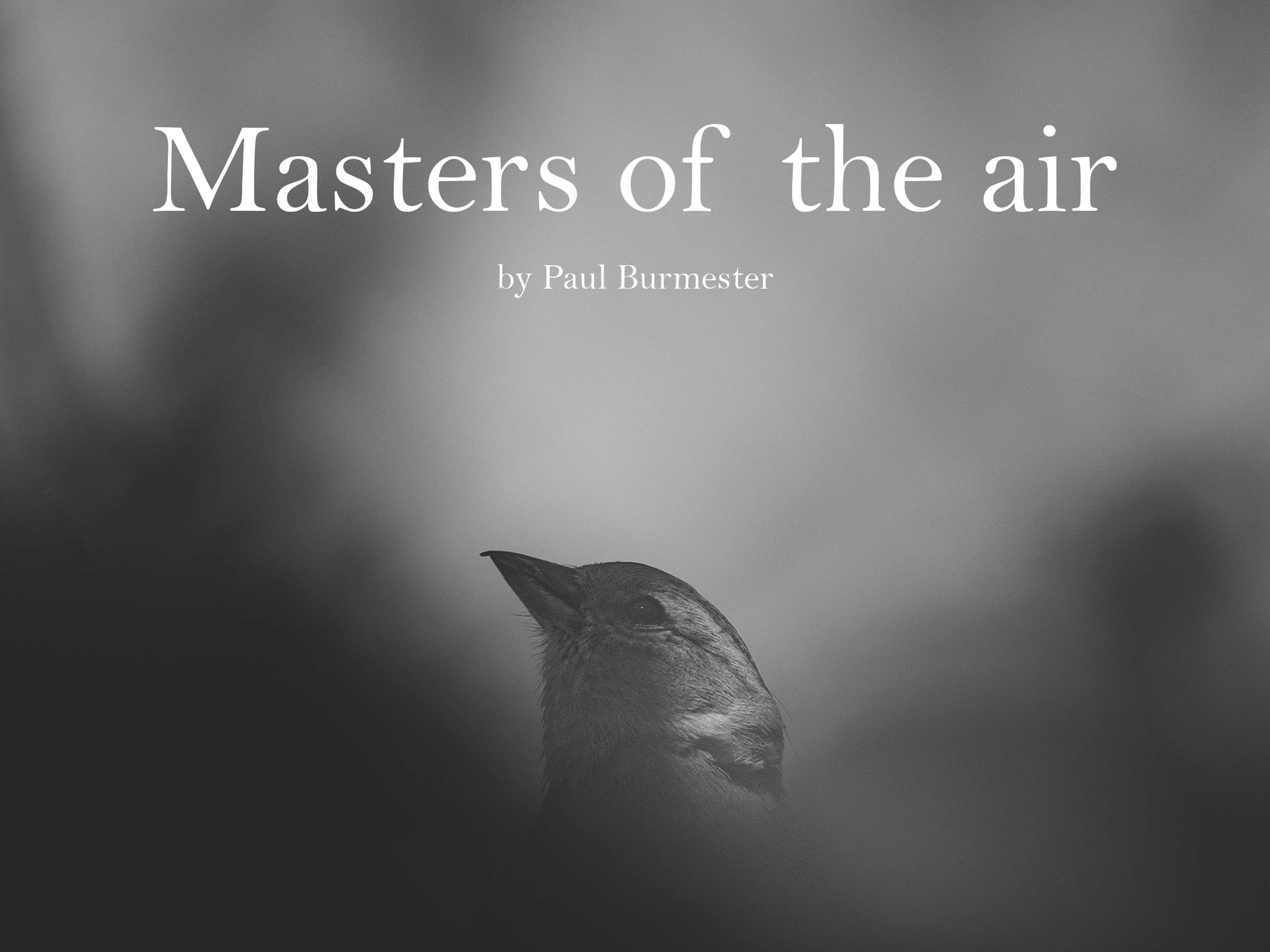 Masters of the Air